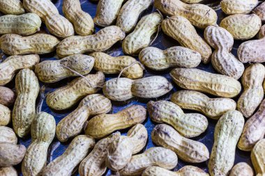 Taze Tarım Üretimi Ekranı için Mavi Yüzeye Kabuk İçinde Çeşitli Fıstıklar