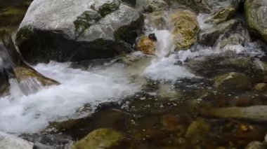 Ormanda küçük bir şelale