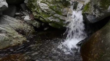 Ormanda küçük bir şelale