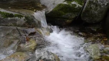 Ormanda küçük bir şelale