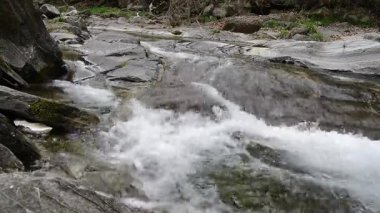 Ormanda küçük bir şelale