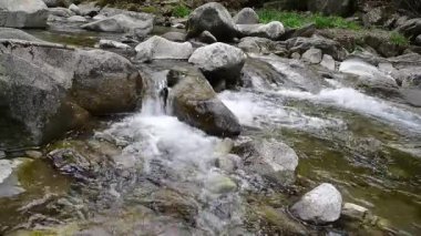 Ormanda küçük bir şelale