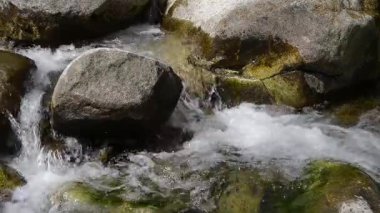 Ormanda küçük bir şelale