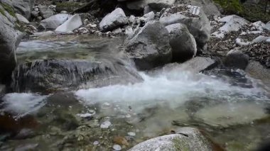 Ormanda küçük bir şelale