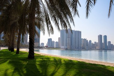Scenic waterfront with palm trees and modern skyline in warm sunlight. Perfect for travel and lifestyle projects. 