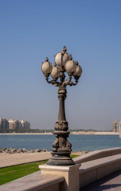 Elegant street lamp near palm trees under clear blue sky. Concept of urban aesthetics and tropical relaxation. 
