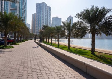 Modern seaside promenade with palm trees and skyscrapers in background. Concept of leisure, travel, and coastal living. 