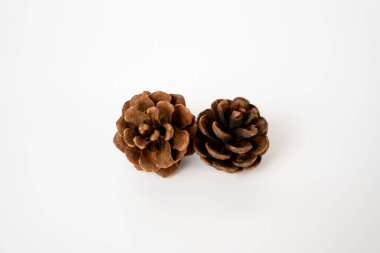 Pair of natural brown pine cones on a neutral background. Perfect for eco, nature, holiday, or seasonal concepts. 