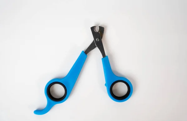 Blue pet nail scissors isolated on white. Ideal for grooming, pet care, and veterinary design concepts. 