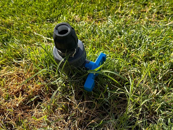 Taze çimenlerin üzerine mavi valf takılı siyah hortum, sulama, bahçe işleri ve DIY dersleri için editoryal ve ticari kullanım. 