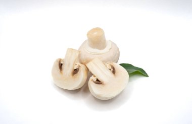 Üç taze beyaz mantar, biri dilimlenmiş, beyaz arka planda tek bir yeşil yaprak. Yüksek kalite fotoğraf