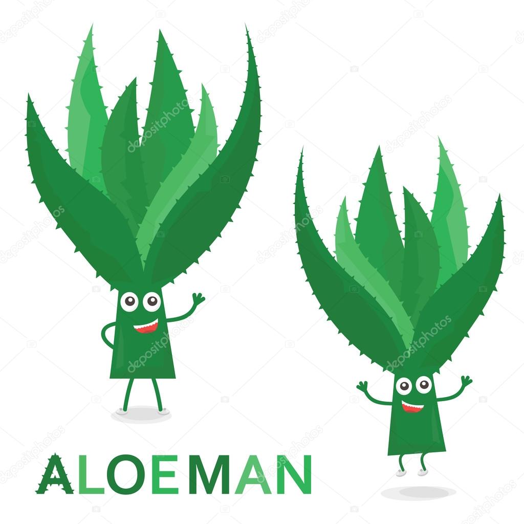 Aloe Characters Cartoon Aloe Man Isolated On White Vector Illustration Vector Image By C Friendlyvector Vector Stock Aloe Characters Cartoon Aloe Man Isolated On White Vector Illustration Vector Image By C Friendlyvector Vector Stock