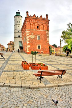 Gotik Sandomierz Belediye Binası, Polonya                               