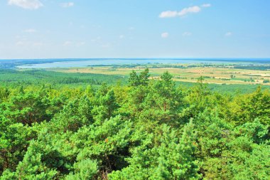 Slovincian Ulusal Parkı (Lehçe: Sowiski Park Narodowy), Polonya 'nın kuzeyinde, Pomeranya Voyvoda' da Sowiski Ulusal Parkı olarak da bilinir..                               