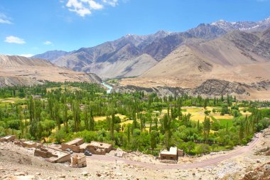 Hindistan 'ın Ladakh şehrinde İndus Nehri' nin güney kıyısında yer alan Alchi köyü.