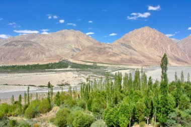 Nubra ya da Dumra Vadisi. Ladakh Vadisi 'nin kuzeydoğusunda üç kollu bir vadi.
