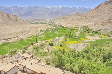 Likir Manastırı ya da Likir Gompa (Klud-kyil) - Kuzey Hindistan 'da bir Budist manastırı.