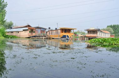 Kasmir ve Dal tatlı su gölü Srinagar şehrinde yüzen tekneler ve shikaralar ile birlikte Hindistan 'da gölde.