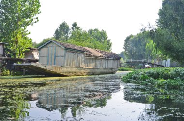 Kasmir ve Dal tatlı su gölü Srinagar şehrinde yüzen tekneler ve shikaralar ile birlikte Hindistan 'da gölde.