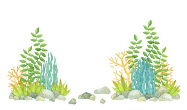 Şirin renkli kart deniz bitkileri. Suluboya, elle çizilmiş. Mavi, sarı, yeşil ve turuncu renkler, beyaz arka planda izole edilmiş. Çocuklar için iyi kumaş, tekstil, ambalaj kağıdı, duvar kağıdı, parmak izi.