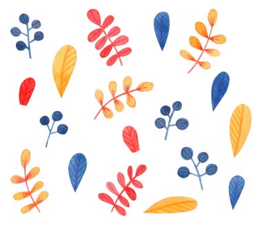 Beyaz üzerine izole edilmiş suluboya böğürtlen ve yapraklarla dolu. Turuncu, mavi, kırmızı ve sarı parlak renkler, el çizimi. Arkaplan, duvar kâğıtları, baskılar, kapaklar ve ambalaj için tasarım