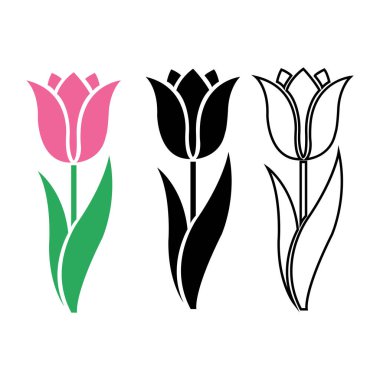 İzole edilmiş vektör, pembe, siyah ve dış hatlar şeklinde açan lale çiçeklerini içerir. Beyaz arkaplan ile tezat oluşturur. Çiçeksel zarafeti somutlaştırır..