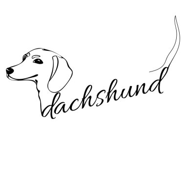Dachshund dog Head'a