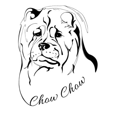 Chow chow dog Head'a