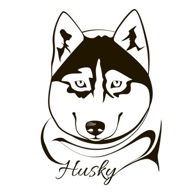 Husky köpek kafası