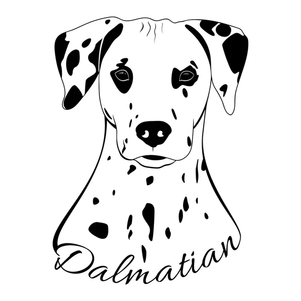 Testa di cane dalmata — Vettoriale Stock