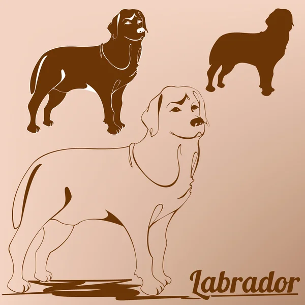 Собака лабрадор отримує контур срібного силуету — стоковий вектор