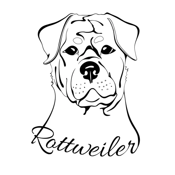 Testa di cane Rottweiler — Vettoriale Stock