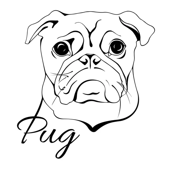 Cabeza de perro Pug — Archivo Imágenes Vectoriales