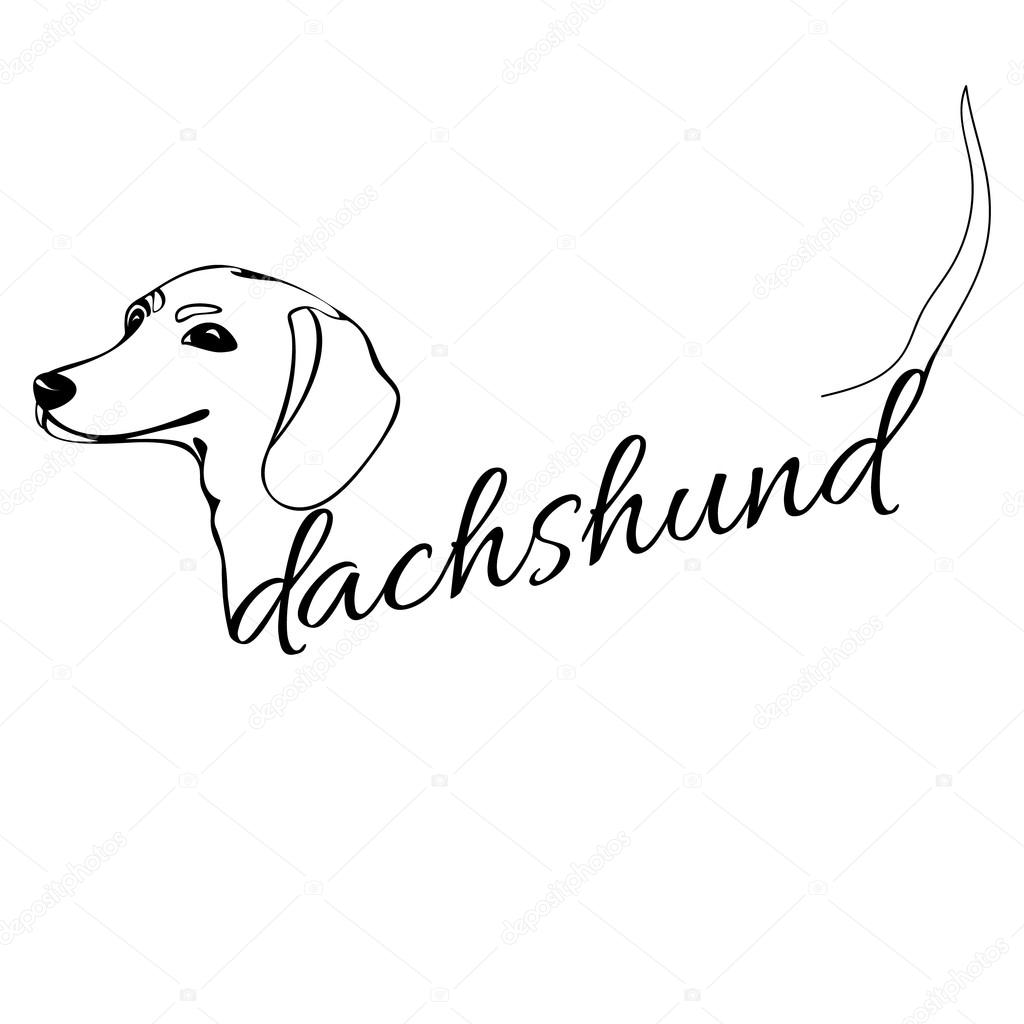 Coloriage Numéros Comme Des Animaux à Imprimer