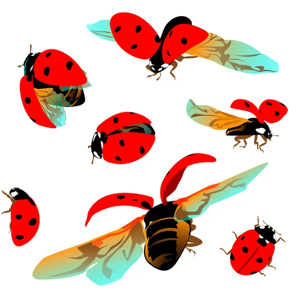 Ορίστε πολύχρωμες Ladybugs σε ένα διαφανές φόντο — Διανυσματικό Αρχείο