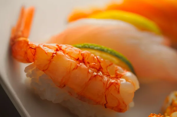 Sushi roll zátiší Stock Fotografie