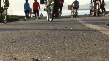 Grup genç bicyclits binme güneşli gün