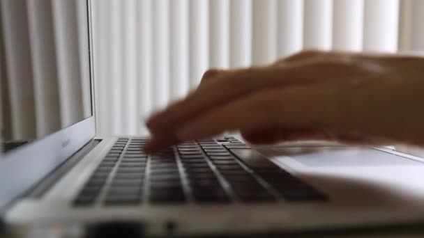 Cute cat appears female typing keyboard — Stock Video