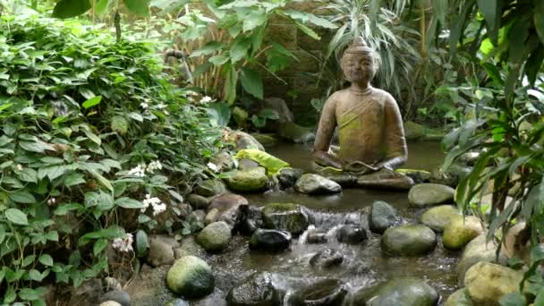 Buddha skulptur, vatten som rinner, anka — Stockvideo