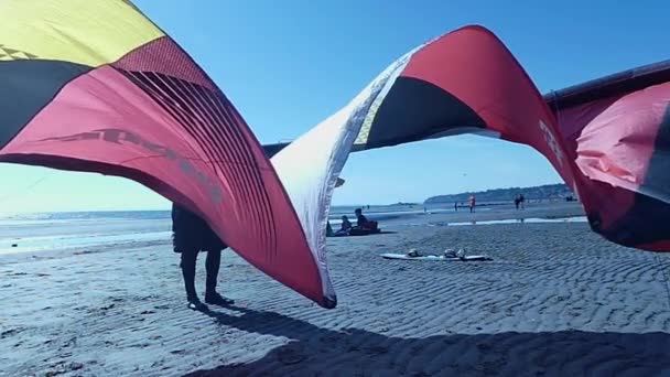 Male drying up kite on beach — Stock Video