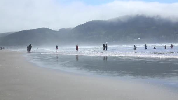 Gente pasando un buen rato Cannon Beach — Vídeo de stock