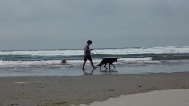 Mann geht Hund nahe Ozean, nebliger Tag — Stockvideo