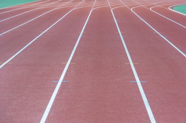 Arena, Spor Bayramı, turnuva, çalışan,