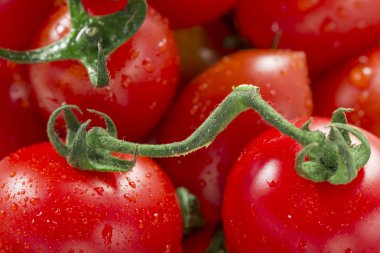 Taze domates ve mini domates bir fotoğraf.