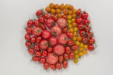 Taze domates ve mini domates bir fotoğraf.