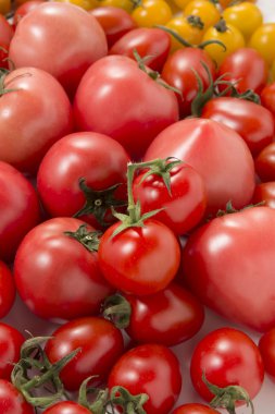 Taze domates ve mini domates bir fotoğraf.
