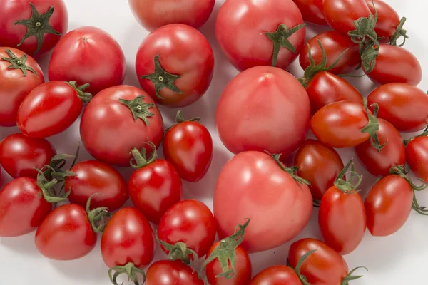 Es ist ein Foto von frischen Tomaten und Mini-Tomaten. — Stockfoto