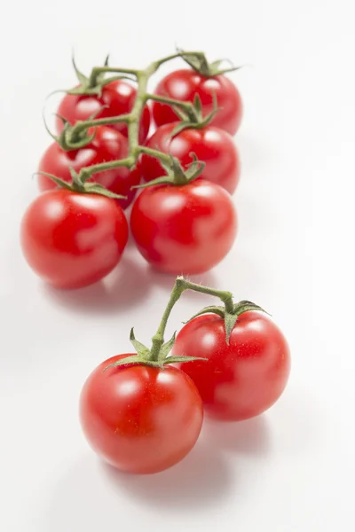 Es ist ein Foto von frischen Tomaten und Mini-Tomaten. — Stockfoto