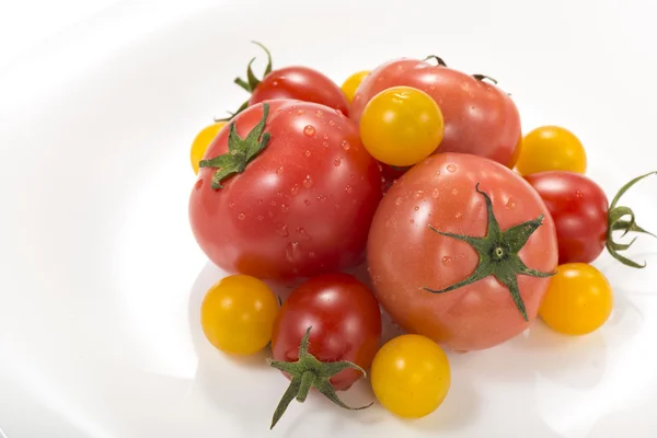 Es ist ein Foto von frischen Tomaten und Mini-Tomaten. — Stockfoto