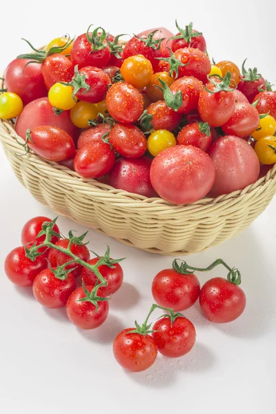 Es ist ein Foto von frischen Tomaten und Mini-Tomaten. — Stockfoto